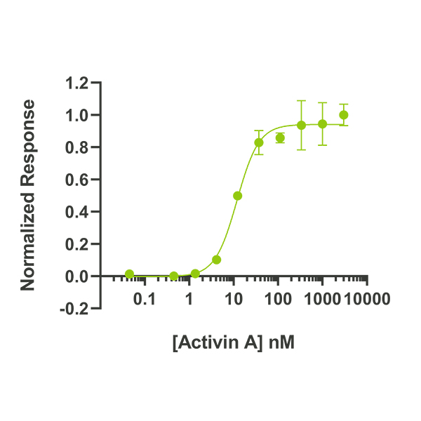 Human Activin Qk001 protein bioactivity lot #011