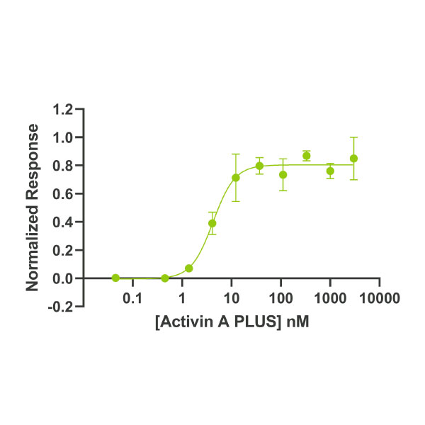 Human Activin A PLUS Qk005 protein bioactivity lot #010
