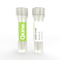 Qk001 Activin A (human) Qkine protein vial