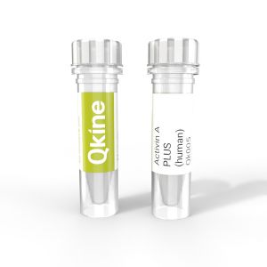 Qk005 Activin A PLUS (human) Qkine protein vial