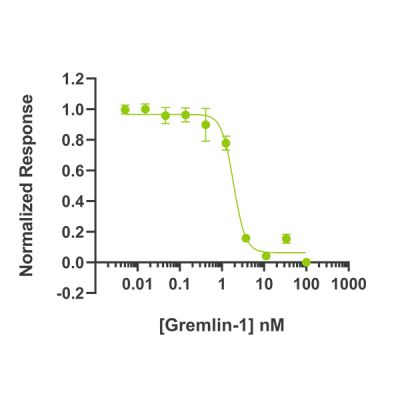 human Gremlin Qk015 protein bioactivity lot 011