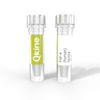 Qk004 FGF-4 (human) Qkine protein vial