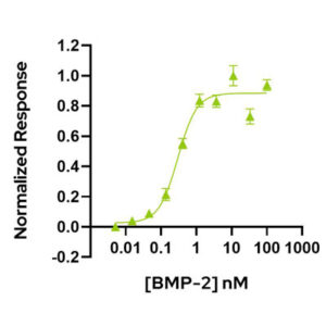 Qkine BMP2 Bioactivity graph