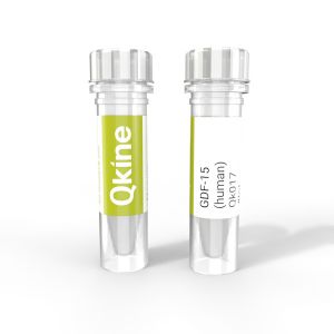 Qk017 GDF15 (human) Qkine protein vial