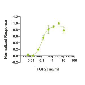 Human FGF2 / bFGF Qk025 protein bioactivity lot #014