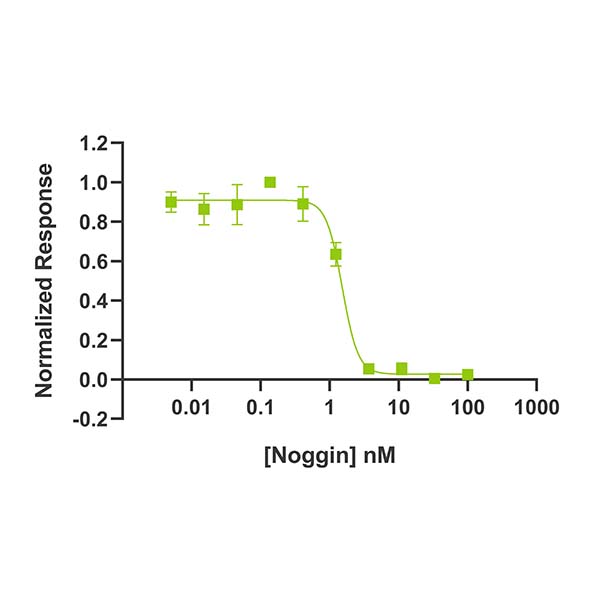 Human Noggin Qk034 protein bioactivity lot #104285