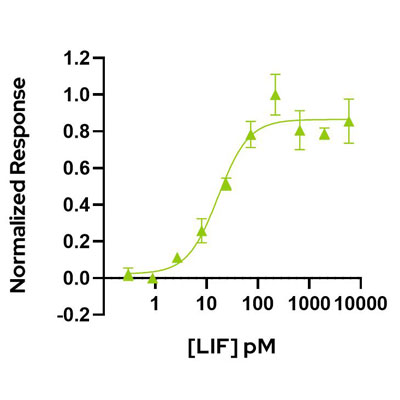 Human LIF Qk036 protein bioactivity lot #14293
