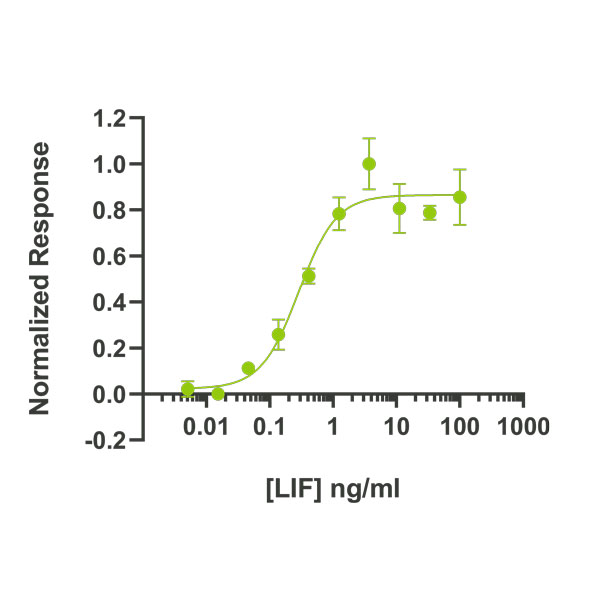 Human LIF Qk036 protein bioactivity lot #14293