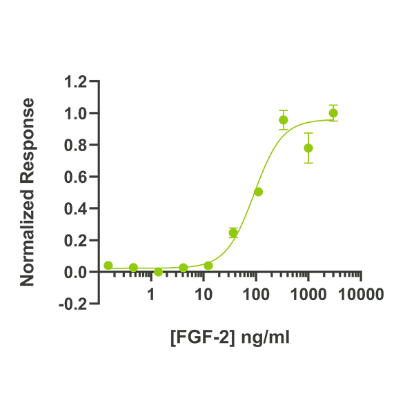 Zebrafish FGF2 / bFGF Qk002 protein bioactivity lot #011