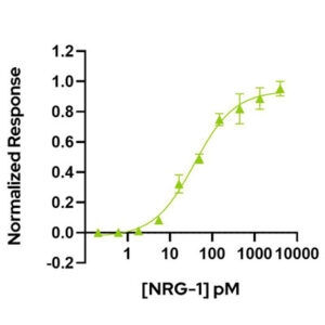 NRG-1 bioactivity graph Qkine