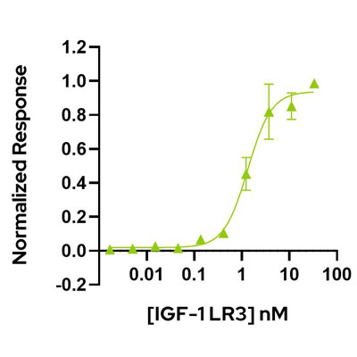 IGF-1 LR3 bioactivity graph