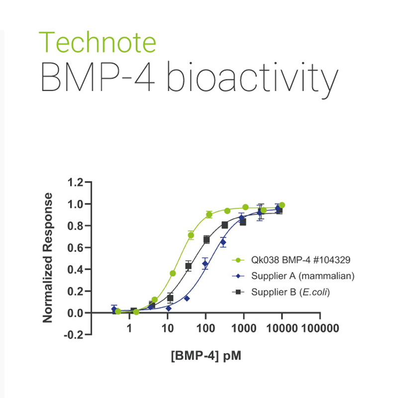 BMP4 comparison with other suppliers: Qkine BMP4 is more potent