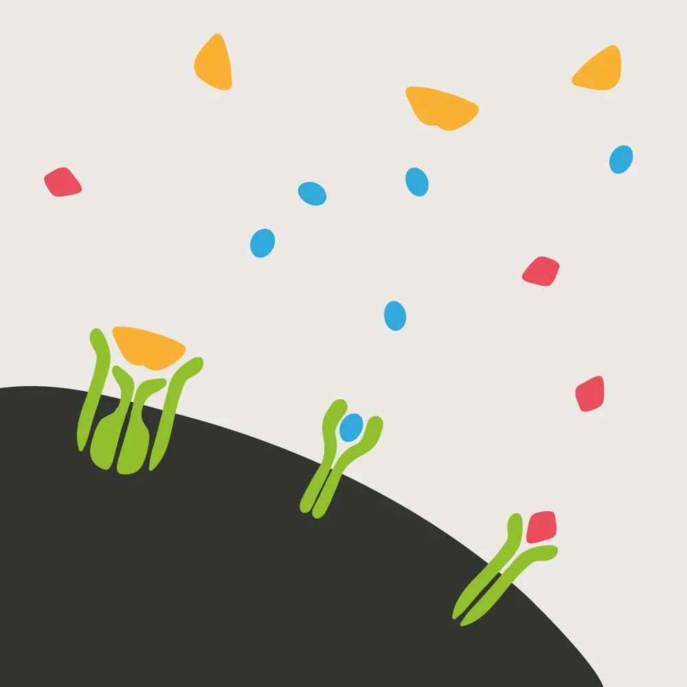 cytokines