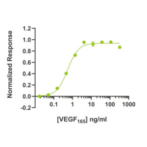 Bioactivity graph showing the EC50 of 0.55 ng/ml (14.4 pM) for Qkine recombinant human VEGF 165