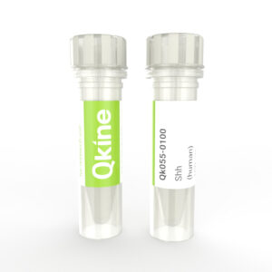 Qkine sonic hedgehog protein - shh protein vial