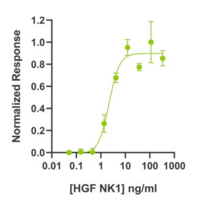 Bioactivity of Bovine hepatocyte growth factor (Qk060)