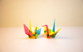 protein-origami