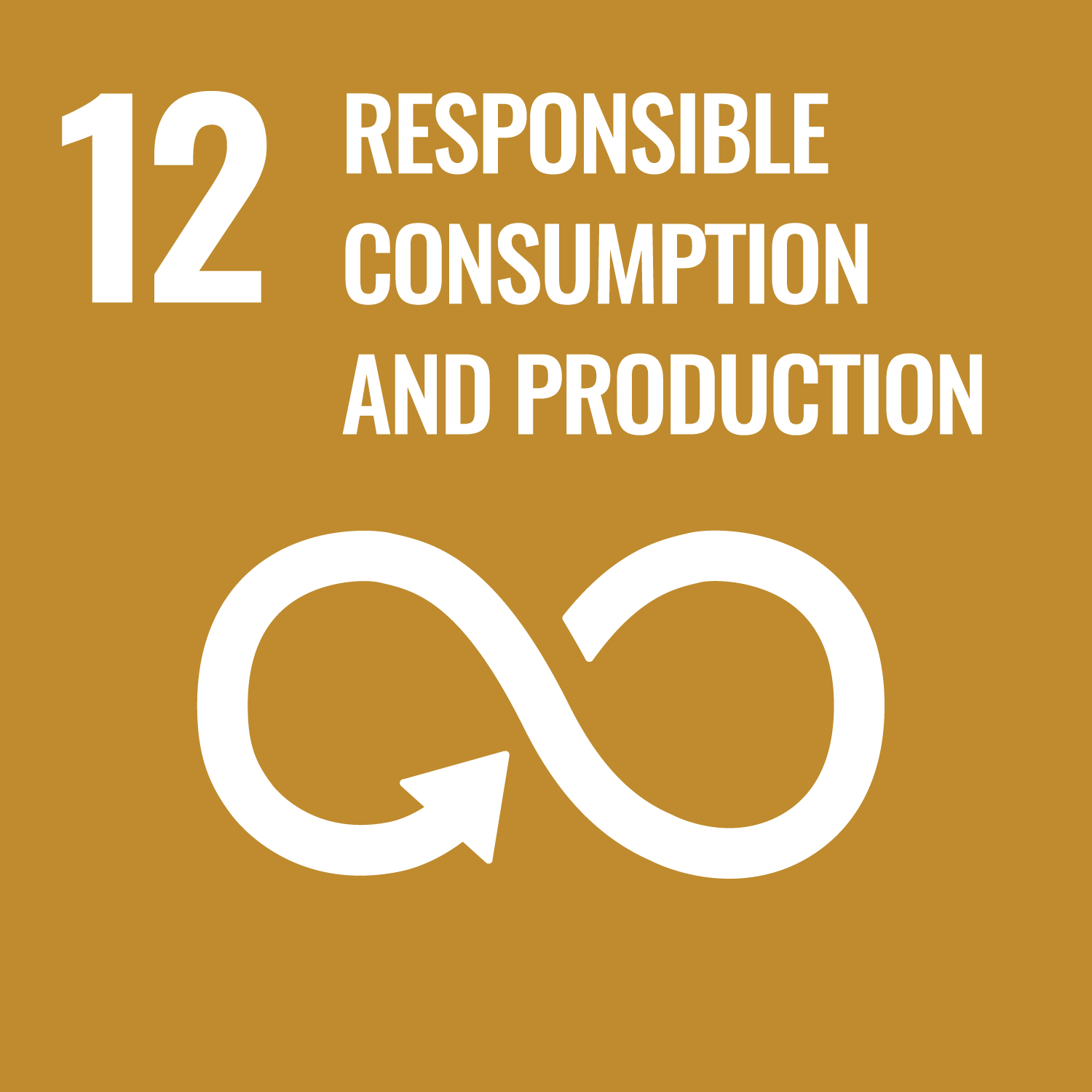 Sustainability goal 12