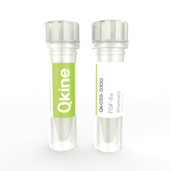 Qkine recombinant human FGF-8a protein vial