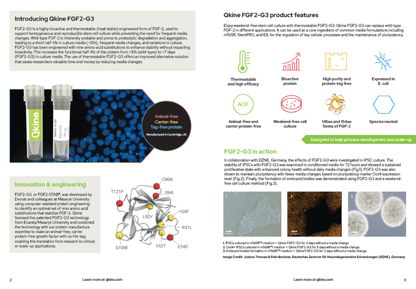 fgf2-g3 product brochure