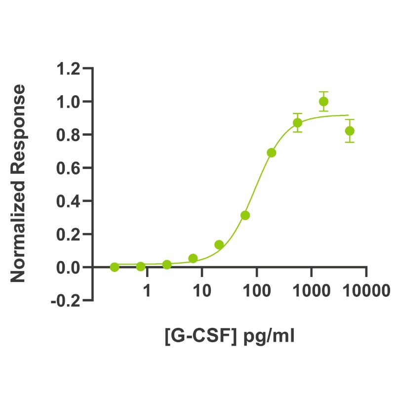 Bioactivity graph showing the EC50 of 92 pg/ml (4.9 pM) for Qkine recombinant human G-CSF