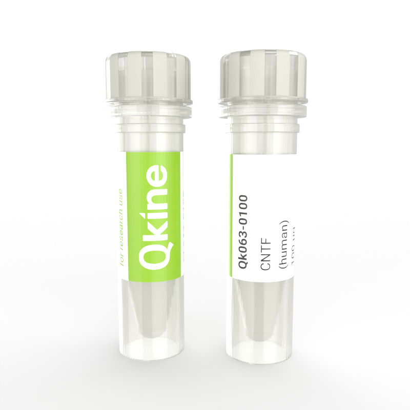 Qkine Recombinant human CNTF protein (Qk063)