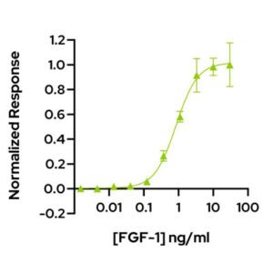 Qk071-FGF-1-bioactivity