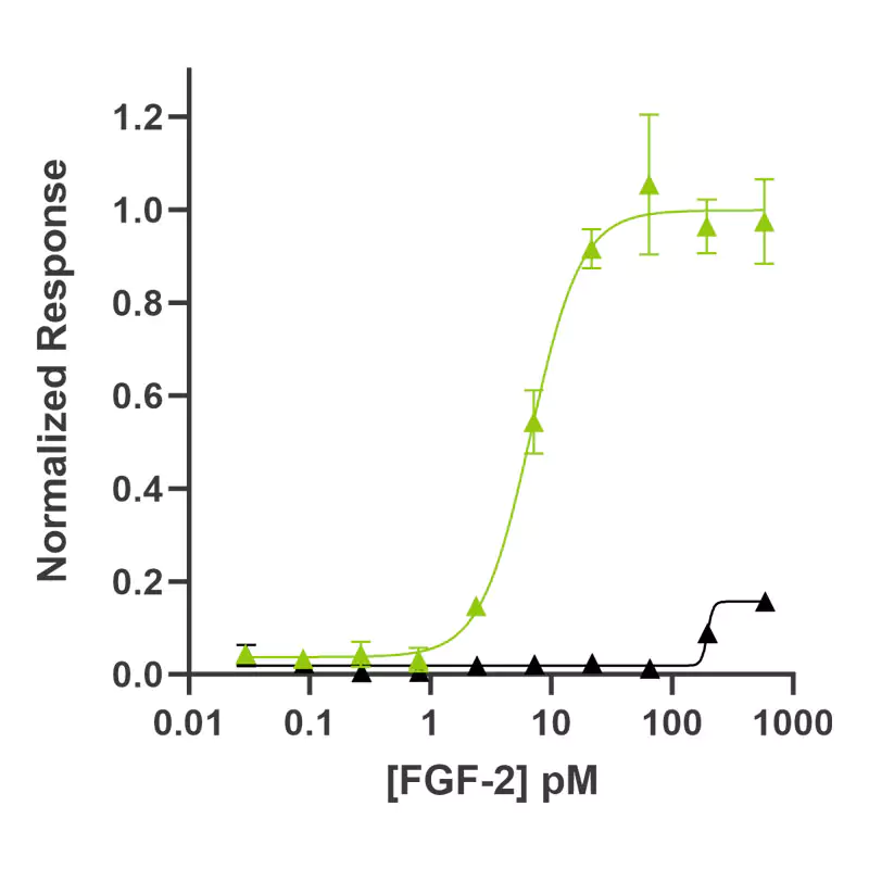 FGF-8b bioactivity assay