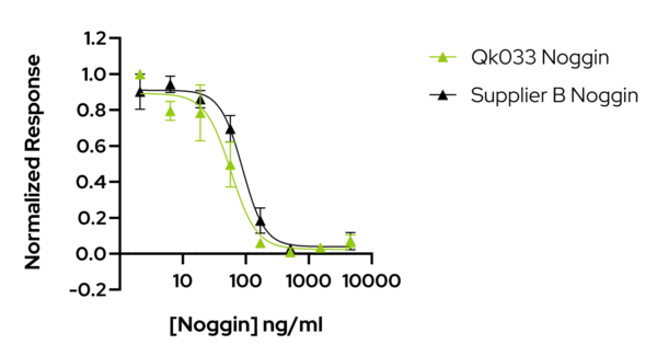 Qkine Noggin competitor comparison