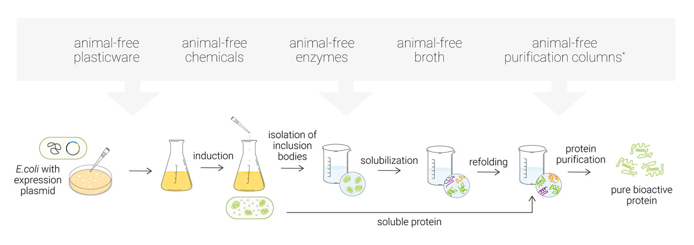 Animal free manufacturing process