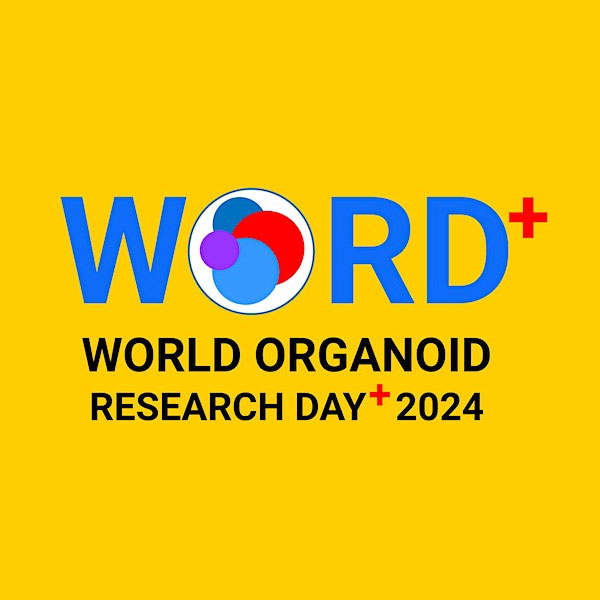 word+2024