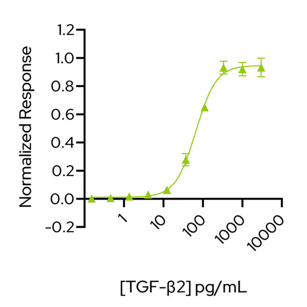 Bioactivity graph showing the EC50 of 66 pg/ml (2.6 pM) for Qkine recombinant TGF-β2