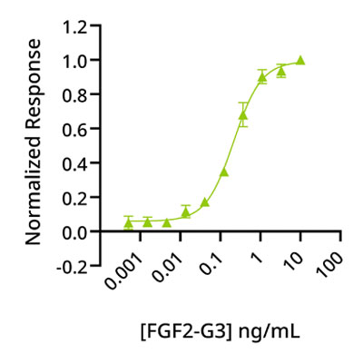 Bioactivity graph showing the EC50 of 217 pg/ml (13 pM) for Qkine recombinant bovine/porcine FGF2-G3 145 aa