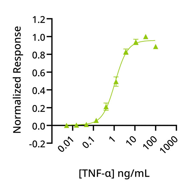 Bioactivity graph for Qkine recombinant TNF-α protein