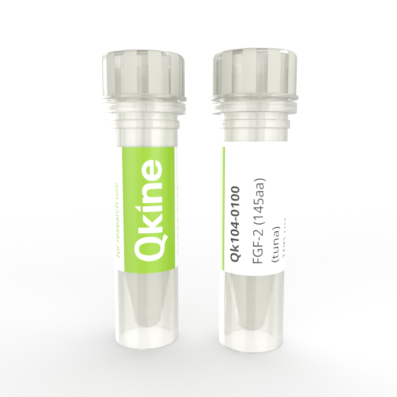 Qkine Recombinant tuna FGF-2 145aa protein vial