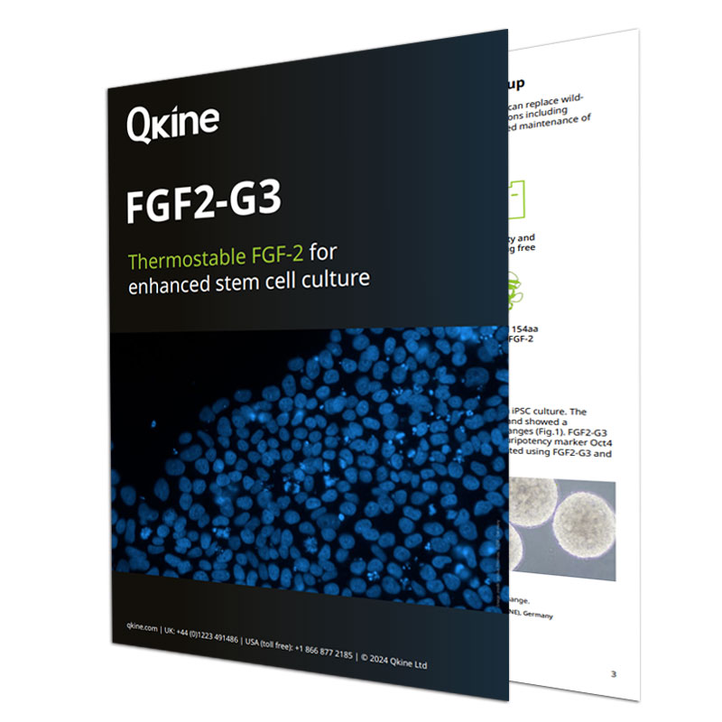 Qkine SSD FGF2-G3 Brochure