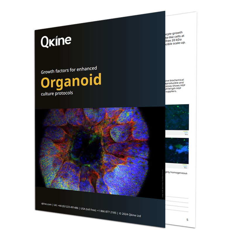 Organoid brochure