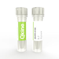 Qkine recombinant human IL-7 protein vial (Qk095)