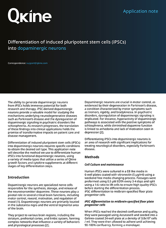 Differentiation of human induced pluripotent stem cells (iPSC) into dopaminergic neurons application note