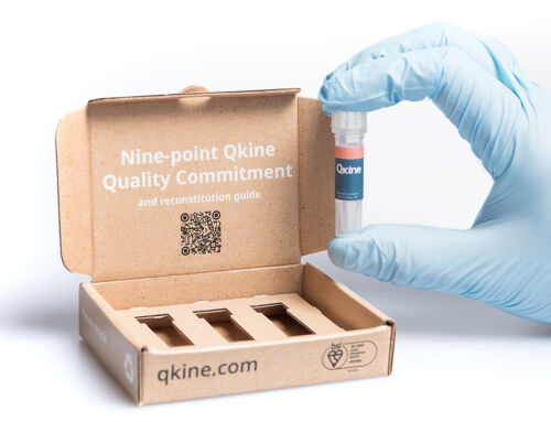 Qkine strengthens its support for the cellular agriculture through provision of high quality food grade growth factors