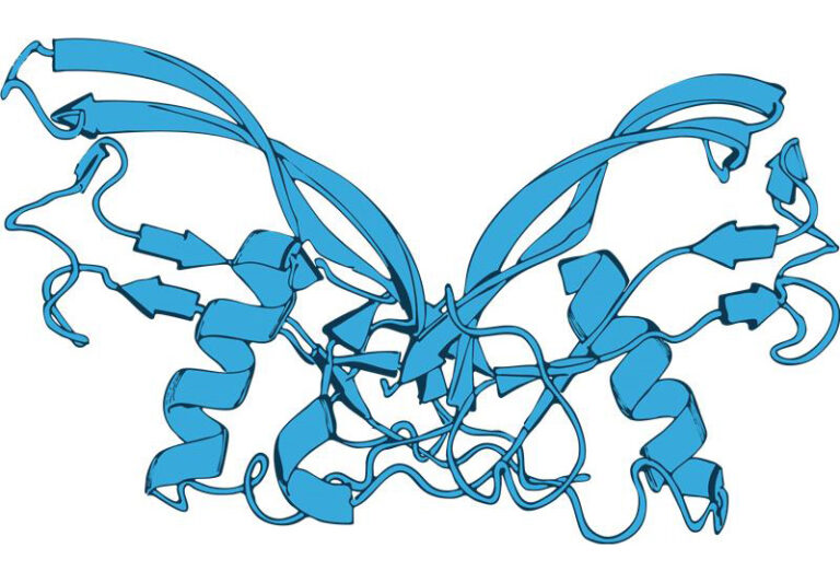 Protein tags, why and why not?