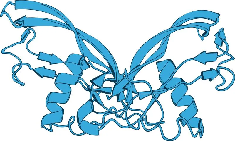 c59ec340-6fca-4e73-af1d-c797f4343ef1 Activin A protein