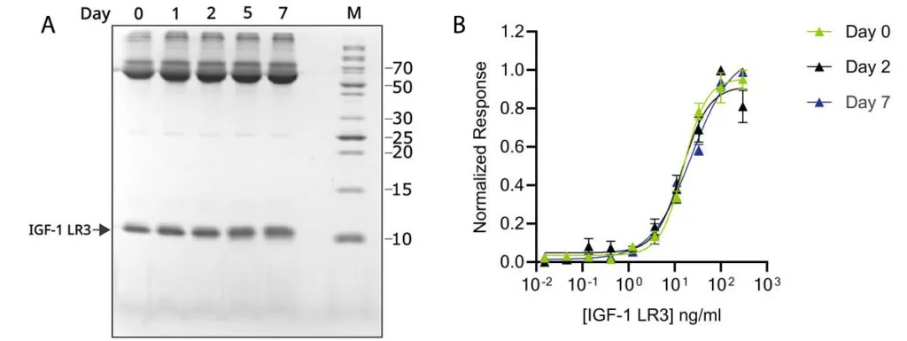 igf-1 lr3 uses Technote | IGF-1 LR3 (Qk041) stability 7 days in media