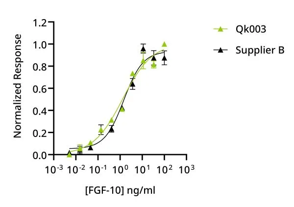 Recombinant human FGF-10 protein (Qk003) - Image 4