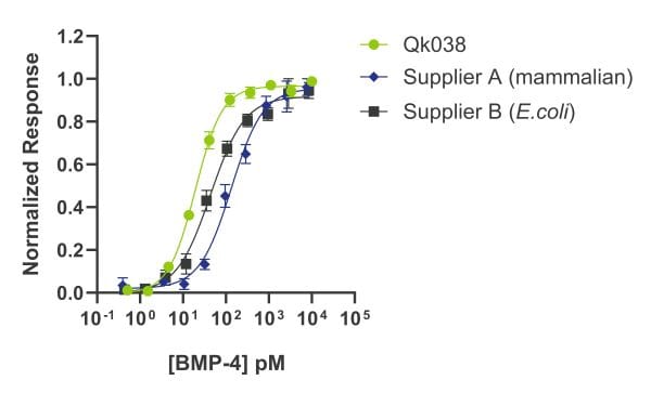 20240626-Qk038-BMP-4-comparison 20240626-Qk038-BMP-4-comparison