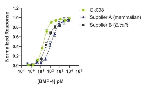 20240626-Qk038-BMP-4-comparison