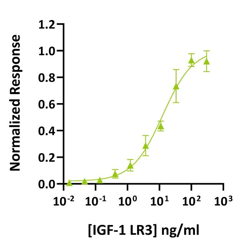 how to run igf 1 lr3 Recombinant human IGF-1 LR3 protein (Qk041)