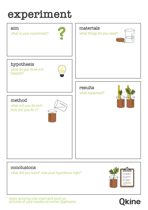 Childrens-lab-book-layout Childrens-lab-book-layout
