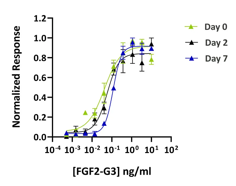 Recombinant FGF2-G3 (145 aa) protein (Qk052) - Image 4