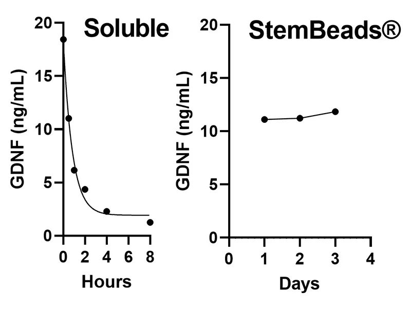 StemBeads® Qkine GDNF - Image 3